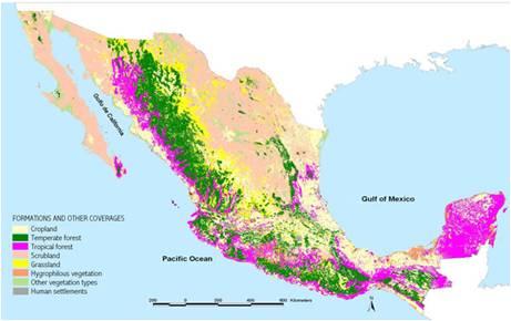 Forest cover in Mexico. Forest inventory 2000.